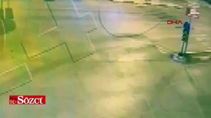 Araçla çarpışan başıboş at öldü