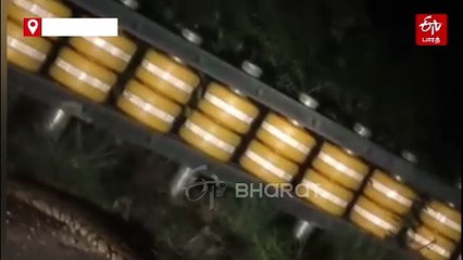 திரைப்பட கிராபிக்ஸை மிஞ்சும் பிரம்மாண்ட மலைப் பாம்பு சாலையை கடந்ததால் வாகன ஓட்டிகள் பீதி!