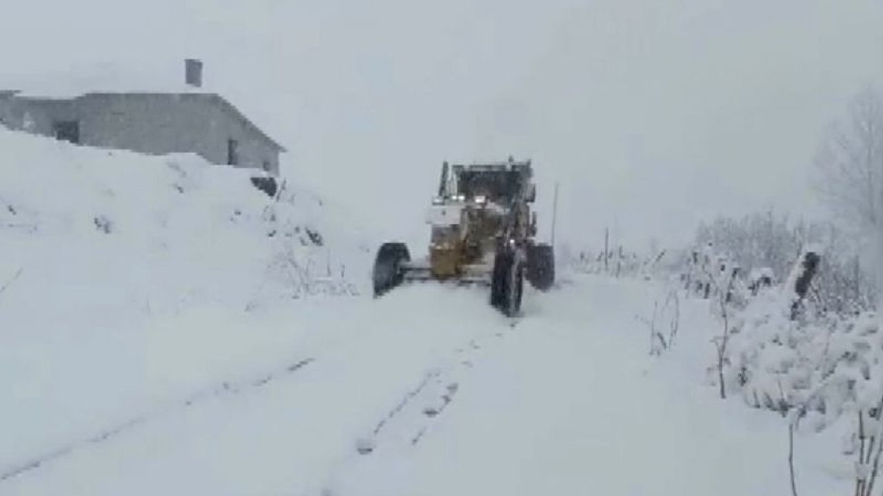 Hakkari'de kardan kapanan yollar ulaşıma açıldı!
