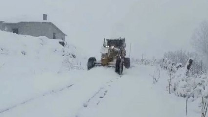 Hakkari'de kardan kapanan yollar ulaşıma açıldı!