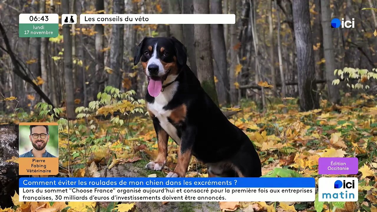 17/11/2025 - ici matin par ici Occitanie en vidéo