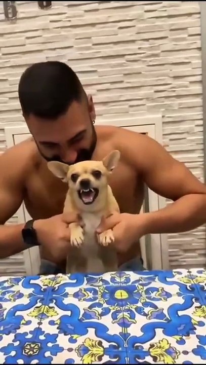 Dogs copying their owners