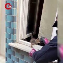 Sinop'ta çocukların dikkati yavru kediyi kurtardı