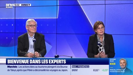 Les Experts : Choose France, suffisant pour les patrons ? - 17/11