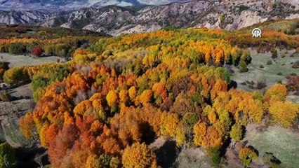 Diyarbakır Kulp'ta sonbahar renkleri