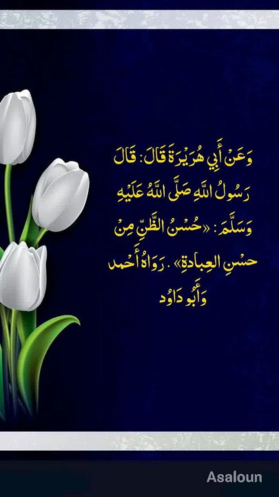 3564 حسن ظن
