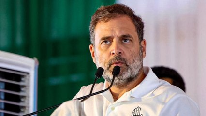 ಎರಡು ದಶಕ.. ಬೆಂಬಿಡದ ಸೋಲು: ರಾಹುಲ್ ಗಾಂಧಿ ಸಾರಥ್ಯದಲ್ಲಿ ಸೋತಿದ್ದೆಷ್ಟು.?  ಗೆದ್ದಿದ್ದೆಷ್ಟು.?