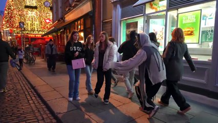 Crazy wolf is hiding waiting to scare people prank