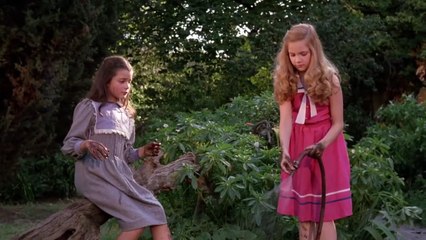 프랑스 영화 Poison for the Fairies 1986