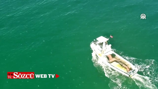 Balık avlayan yunus dronla görüntülendi