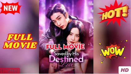 Saved by His Destined Love Full Movie
