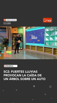 Las intensas lluvias registradas en las últimas horas provocaron la caída de un árbol que terminó impactando directamente sobre un vehículo