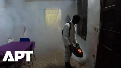 Cuba Launches Mass Fumigation Campaign as Arboviral Outbreak Hits 30% of Population | APT