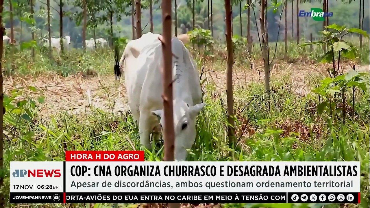 Mariana Grilli: CNA organiza churrasco na COP30 e desagrada ambientalistas