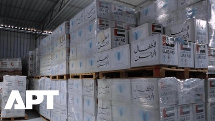 Humanitarian Support Continues: UAE Delivers Large Convoy to Gaza for 20,000 Orphans in Need | APT