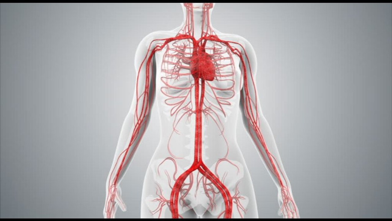 Salute, un libro bianco per combattere la malattia rara Egpa