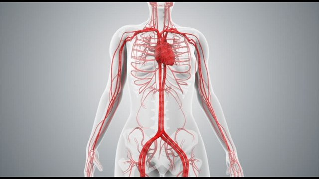 Salute, un libro bianco per combattere la malattia rara Egpa