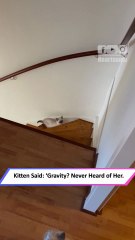 He Didn’t Walk the Stairs… He Launched Off Them – Meet Liam Payne!|| Heartsome 💖