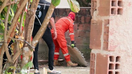 Desaparecimento e Morte Trágica de Glenda Beatriz: Uma Investigação detalhada em Abreu e Lima