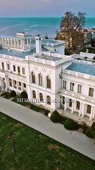 The Cleaner With a Billion Dollar Secret shortical