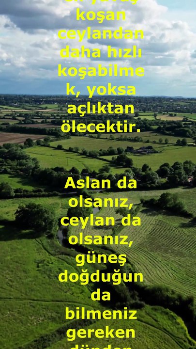 Aslan ve Ceylan Hikayesi