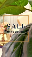 Shop Elegant Vases at Special Sale Prices