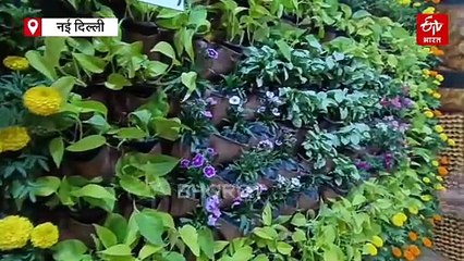 इंडिया इंटरनेशनल ट्रेड फेयर में न्यू इनोवेशन, प्लास्टिक का विकल्प तैयार, इको फ्रेंडली होगा