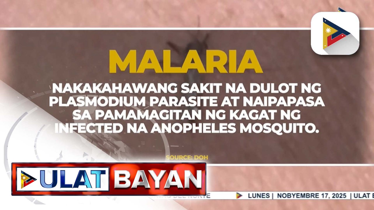 Banta ng dengue at malaria, binabantayan ng DOH ngayong malamig na ang panahon at napapadalas ang pag-ulan | ulat ni Bien Manalo