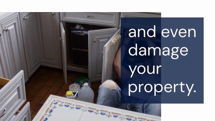 Plumbing Services Washington DC - Expert Solutions for Homes & Businesses