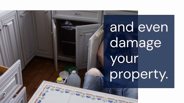 Plumbing Services Washington DC - Expert Solutions for Homes & Businesses