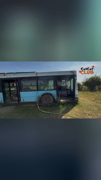 Cara-poule : Le Bus Révolutionnaire de l'Élevage Avicole