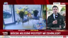 Böcek ailesini pestisit mi zehirledi?
