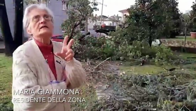 Abbiamo visto il finimondo : tromba d'aria di Larciano, parla una residente