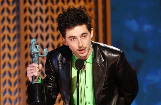Timothee Chalamet believes Adam Sandler is one of the greatest actors ever