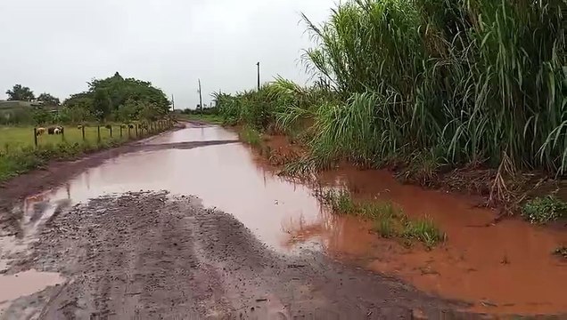 Moradores denunciam más condições das estradas no Assentamento Valmir Motta de Oliveira, em Cascavel