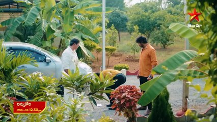 Ninnu Kori | show | 2024 | Official Clip