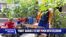 Pemkot Malang Bagikan Tiga Ribu Lebih Pohon untuk Kelurahan