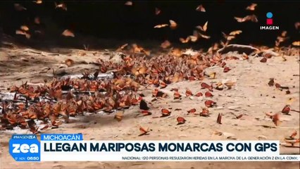 ¡Notas sociales con Francisco Zea!