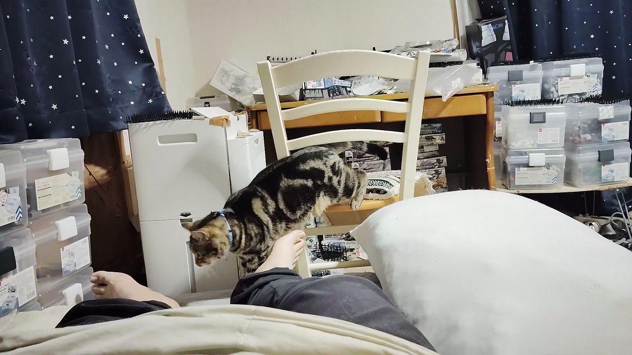 飼い主の足を舐めるミア4