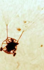 Making of de la foto de Andrew McCarthy