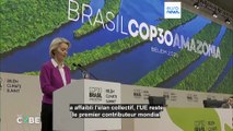 Le Brésil a-t-il vraiment abattu 100 000 arbres pour la COP30 ?
