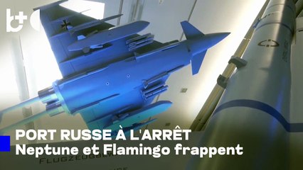 Neptune, Flamingo et 'Ferr'... Armes à longue portée 'Made in Ukraine'