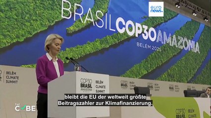 Hat Brasilien für die COP30-Klimakonferenz 100.000 Bäume abgeholzt?