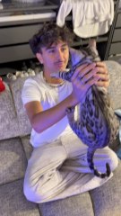 Why every cat hate me 😭