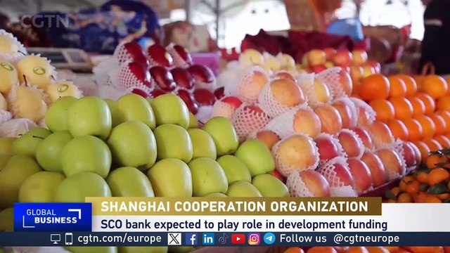 Shanghai Cooperation Organization members aim for greater economic cooperation