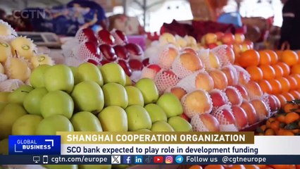 Shanghai Cooperation Organization members aim for greater economic cooperation