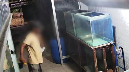 Prevenção de Invasões e Crimes Recorrentes em Galerias Comerciais - Aumentando a Segurança na Região do Prado