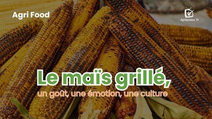 Agri Food : Le maïs grillé, un goût, une émotion, une culture