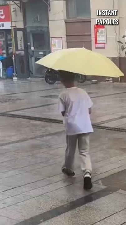 Ce petit garçon voit un chien sous la pluie puis l’abrite avec un parapluie