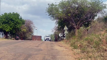 Lioness STRIKES! Shocking Hunt Unfolds Right Beside Tourist’s Car!
